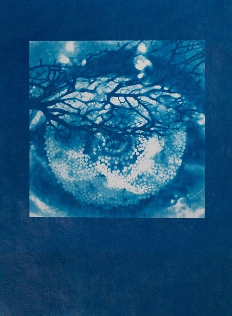 Abstraction #24