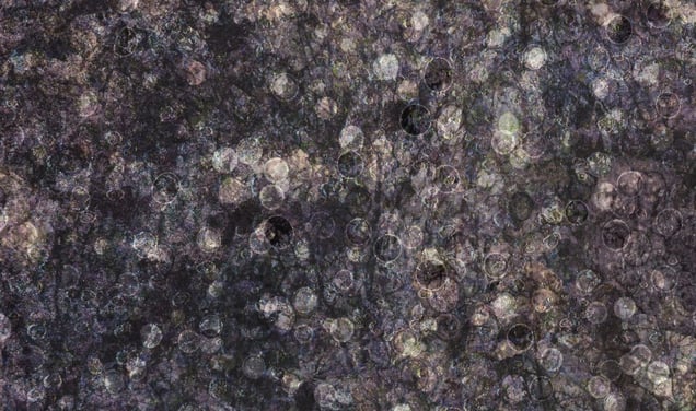 Detail at full size © Thomas Brummett