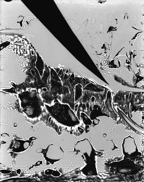 Untitled No. 46 (Dispositional Nature) © Claire A. Warden