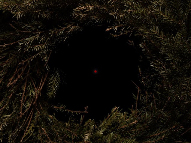 Travel to Distance, 2015