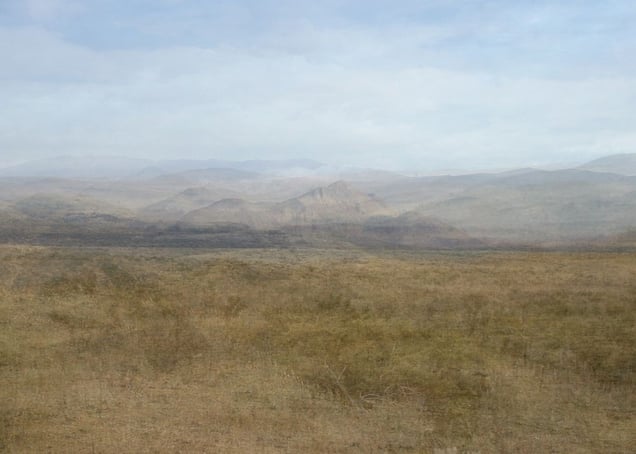 10 Years out of a Death Row Sentence (Desert) © Amy Elkins