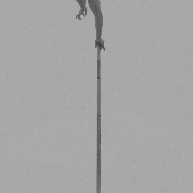pole vault IX