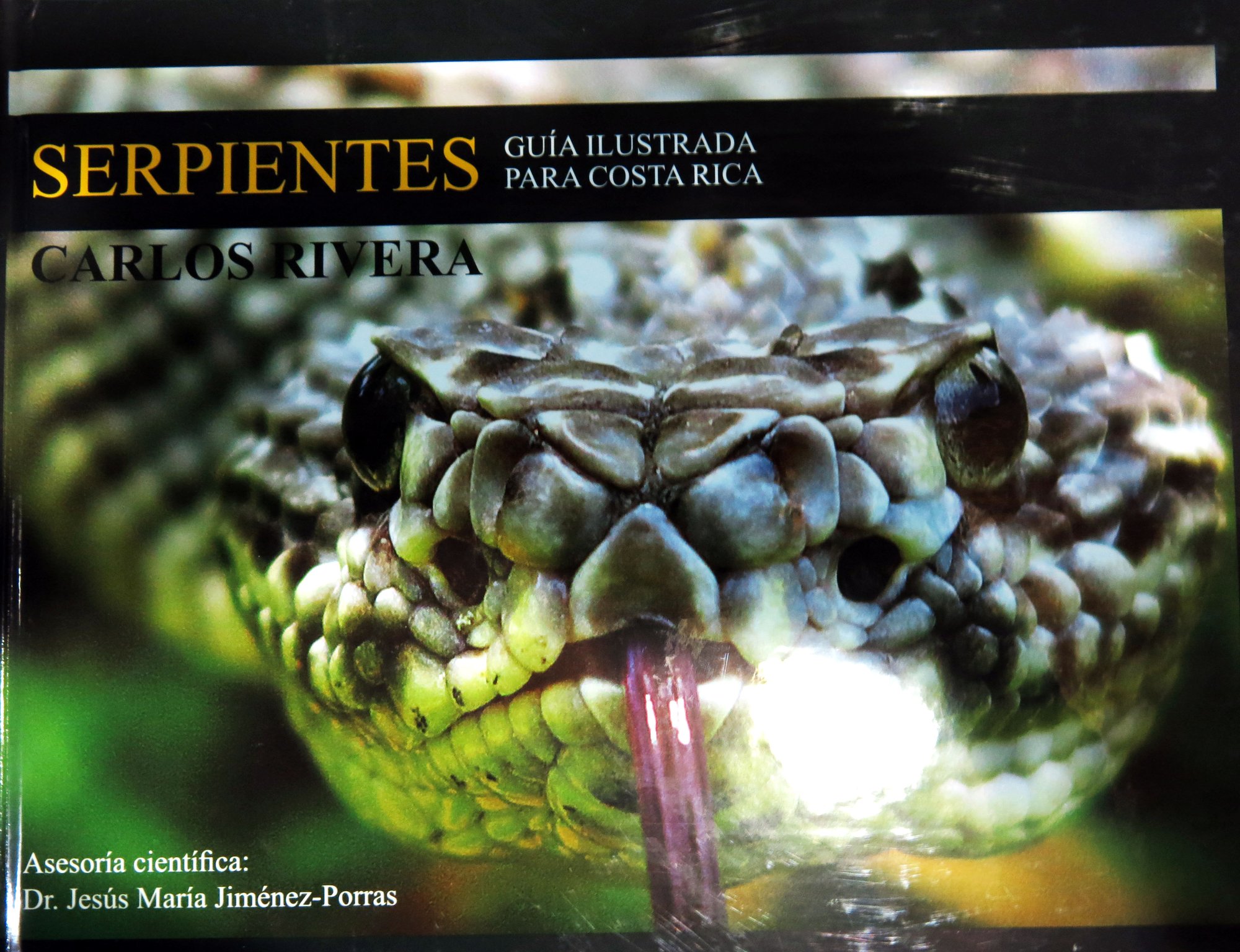 Serpientes Guía Ilustrada para Costa Rica 
