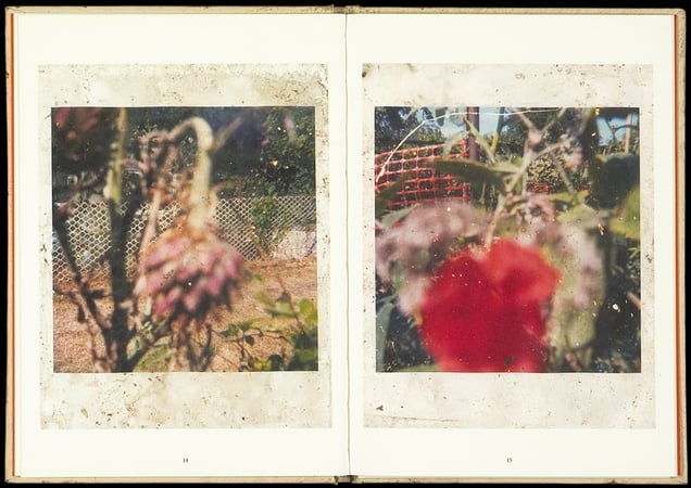 From  Buried, by Stephen Gill and Nobody Books © Stephen Gill