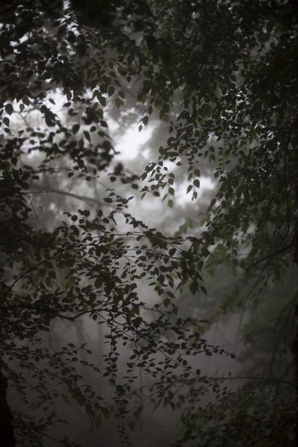 The Epilogue, 2013. Courtesy Ivory Press.