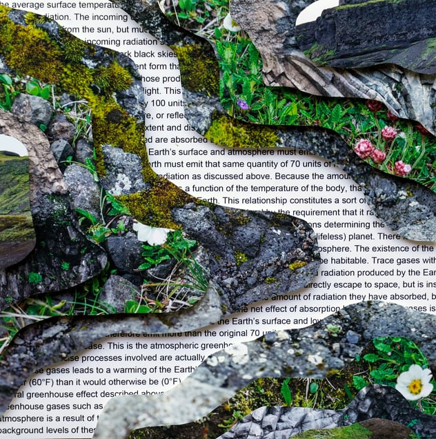 Topography Study XXXI