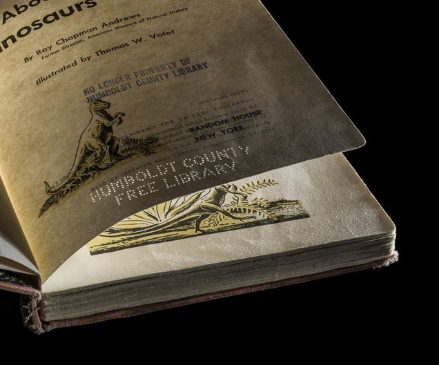 All About Dinosaurs, Puncture Stamp © Kerry Mansfield