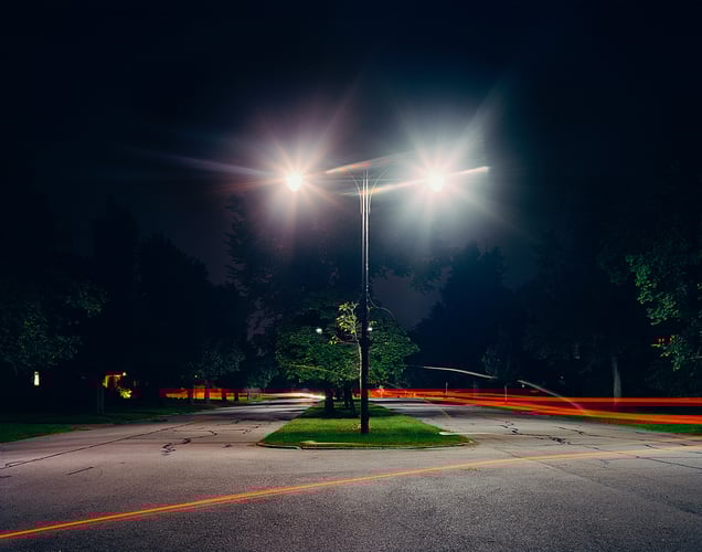 Buffalo 1901 World’s Fair, “The Pan Am Exposition,”Site of Japanese Village