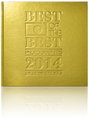 Best of the best photographers 2014 OneEyeland