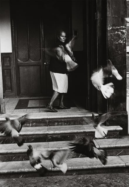 Woman with Pigeons, Caracas, 1969