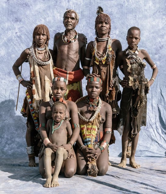 Hamar Family  Fig. IV