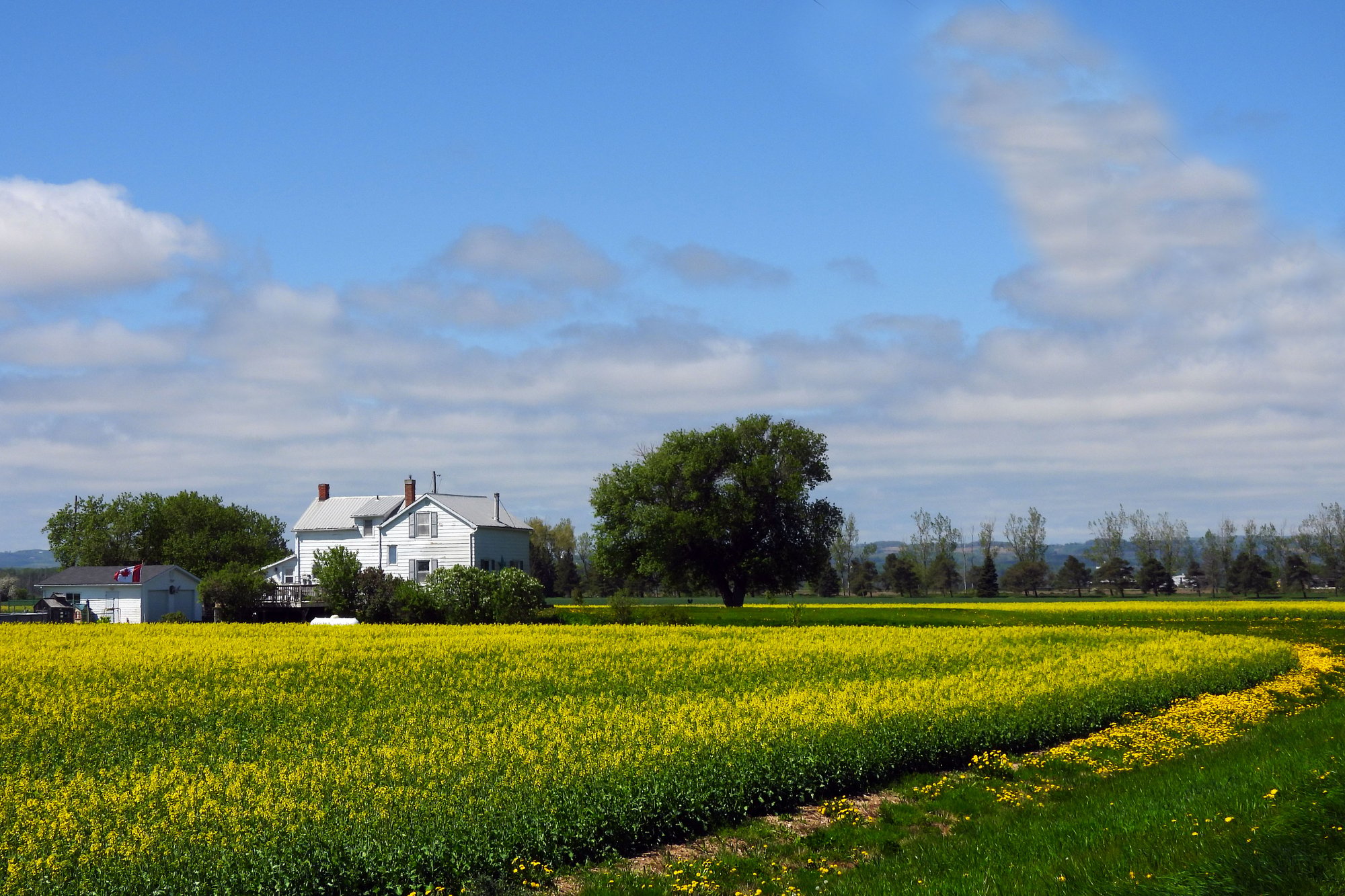 Rustic Ontario
