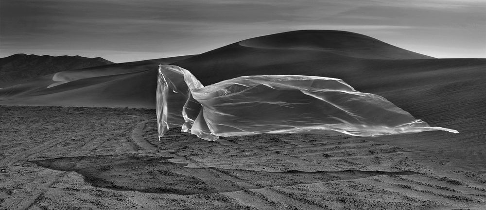 Plastic Landscapes