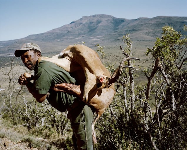tracker with impala, eastern cape, south africa-from the series 'hunters'-David Chancellor