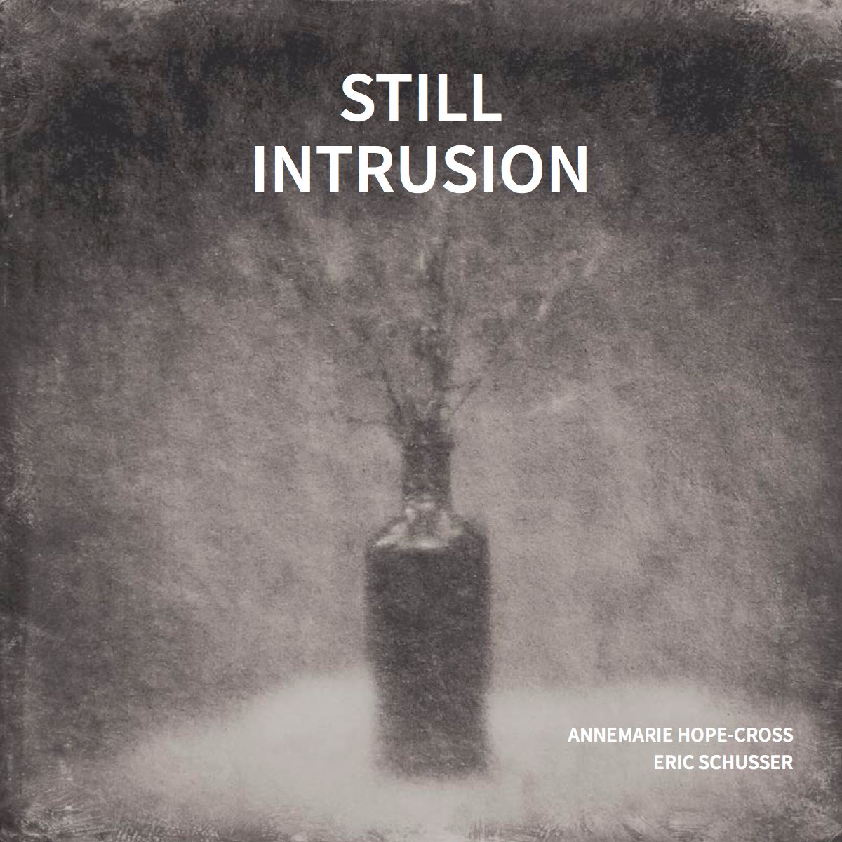 Still Intrusion