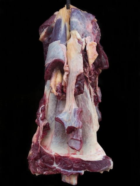 From the series "Meat Portraits" © Alex Van Gelder