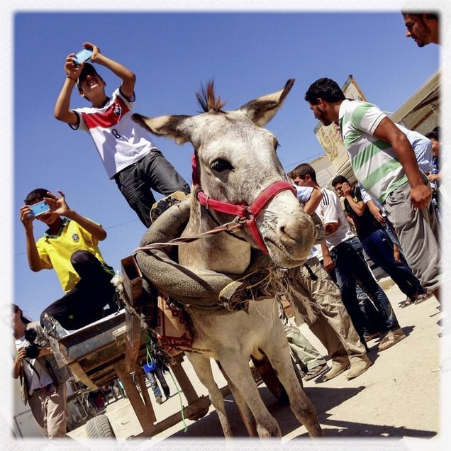 iPhone photography assignment with teenagers in Za'atari, Jordan
