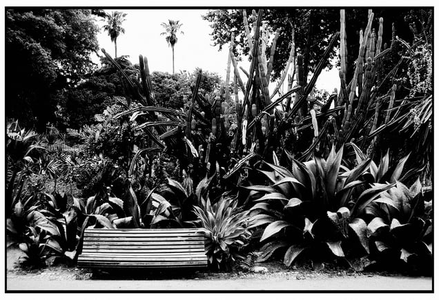 Lisbon, Portugal, 2018
Analog photography
