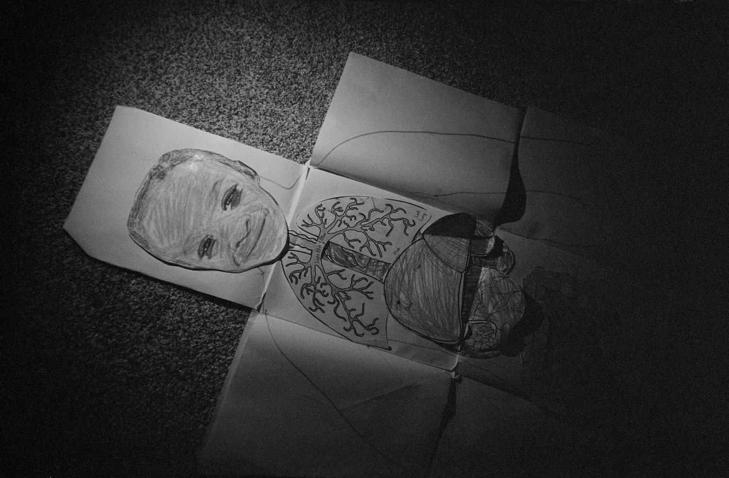 The Seraphim - Photographs by Jesse Lenz | Book review by