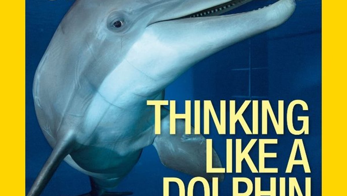 "Thinking Like a Dolphin." Cover, May 2015.
