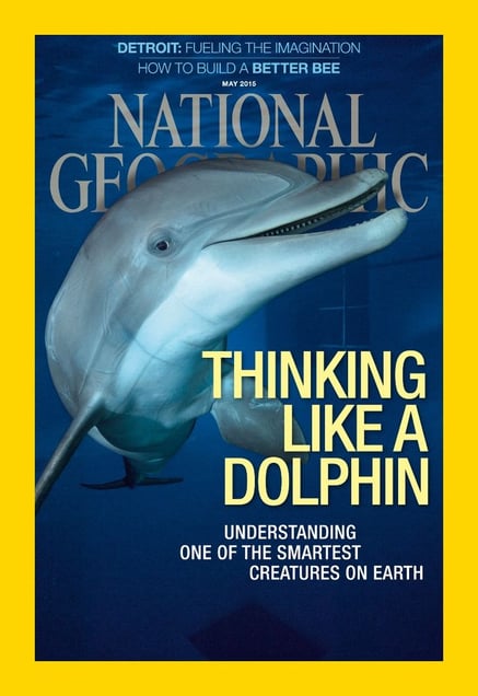 "Thinking Like a Dolphin." Cover, May 2015.