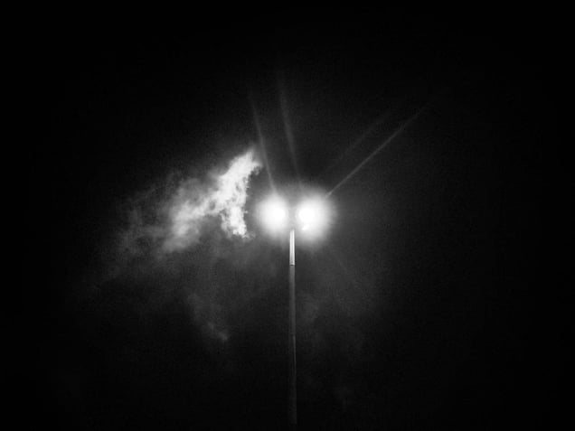 Poison © Aji Susanto Anom