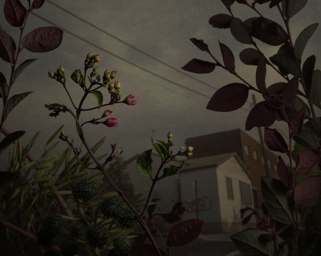 North Facing Gradient