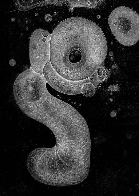 Hyppocampe, from the series, "Hydrology: Visions in Ice" © 2008 Douglas Capron