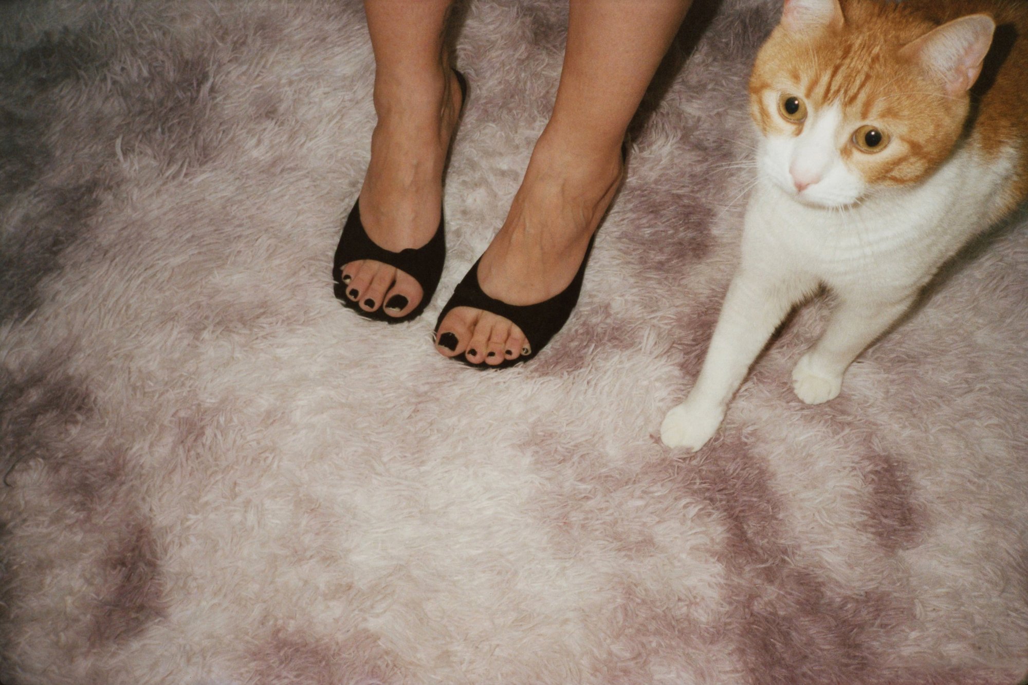 Un Mondo Proprio (A World Of One's Own) 