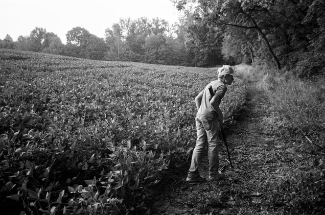 Stalking the Back Field, 2025