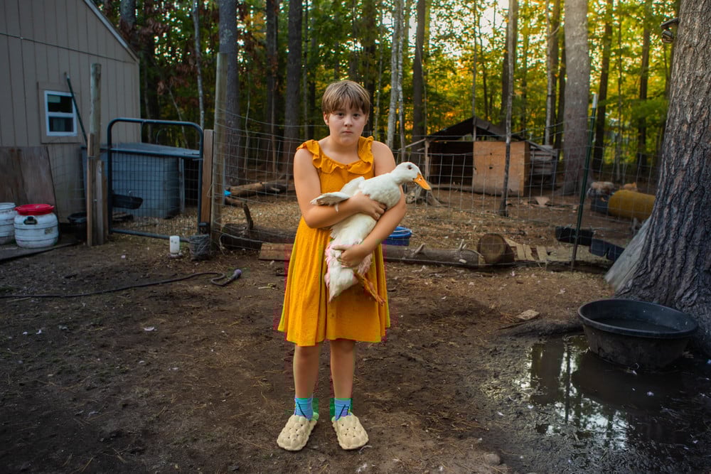Casey and her duck. Casey chases down her favorite duck. © Barbara Peacock