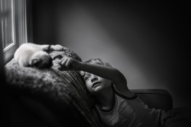 Catnap