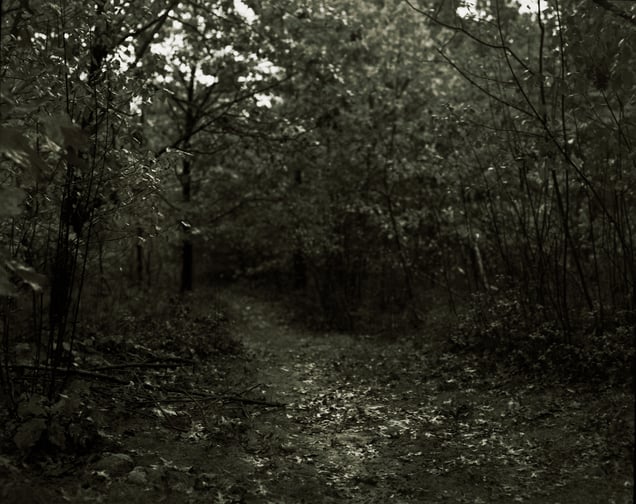 Hidden Pathways
