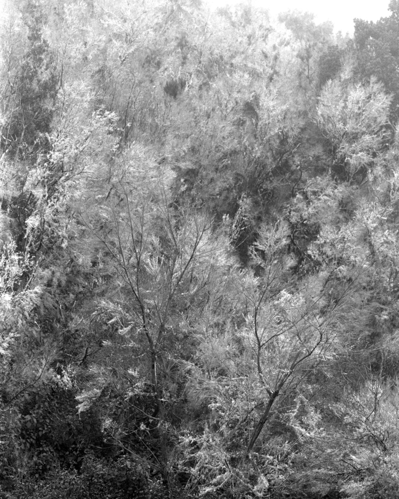 Blanco: Silent Landscapes - Interview with Awoiska van der Molen