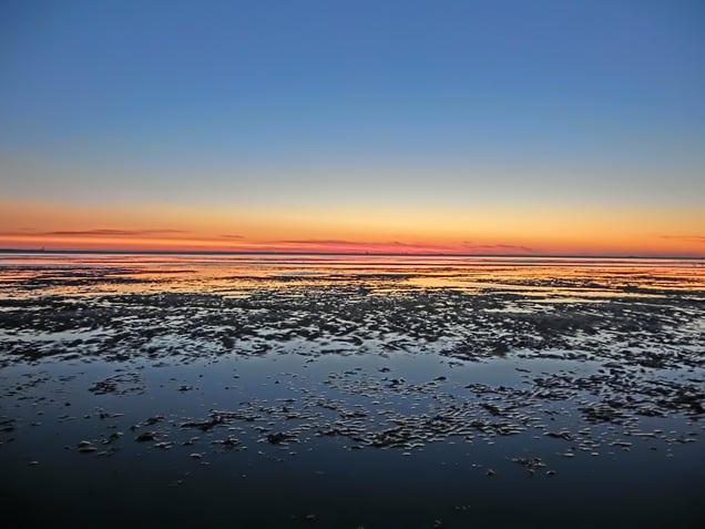 "DADA EVOLUTION SOUND TRACK" or "AWE APE AMAZEMENT" "EHRFÜRCHTIGES AFFENSTAUNEN"