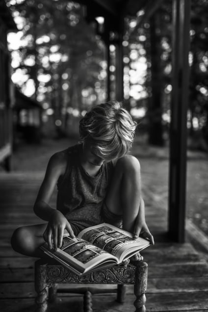 The Reader