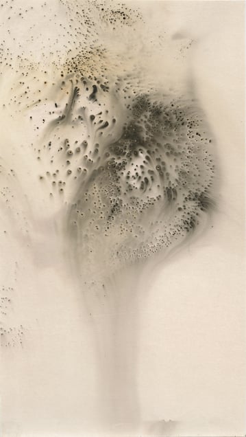 Untitled Work of Fire .01-06-13 Unique gunpowder generated gelatin silver print.