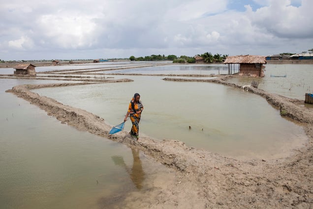 A woman going to catch crabs in Shyamnagar, Satkhira, Bangladesh