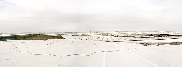 Partial view of the Campo de Dalí­as, Almerí­a. © Reinaldo Loureiro