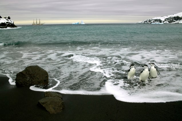 Antarctica