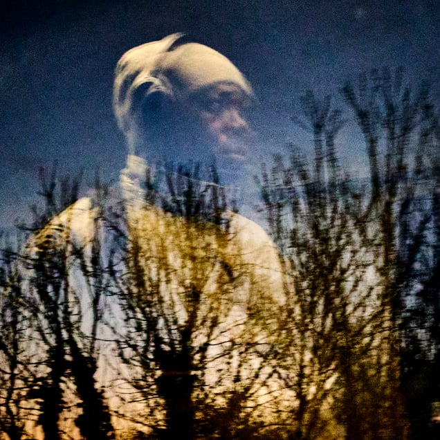 Forest bathe, or sky tunes