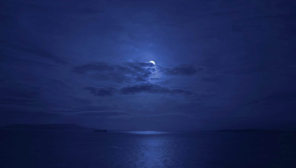 File: Nightfall 1, 2026