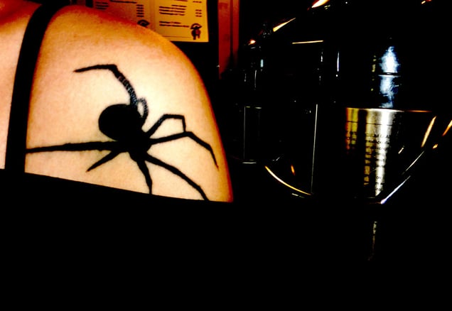 "KARMA DRAMA" or "DARK INDRA SPIRIT SPIDER NET"