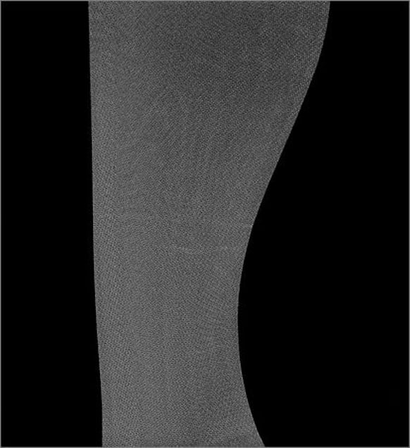 Mascot. © Elaine Duigenan