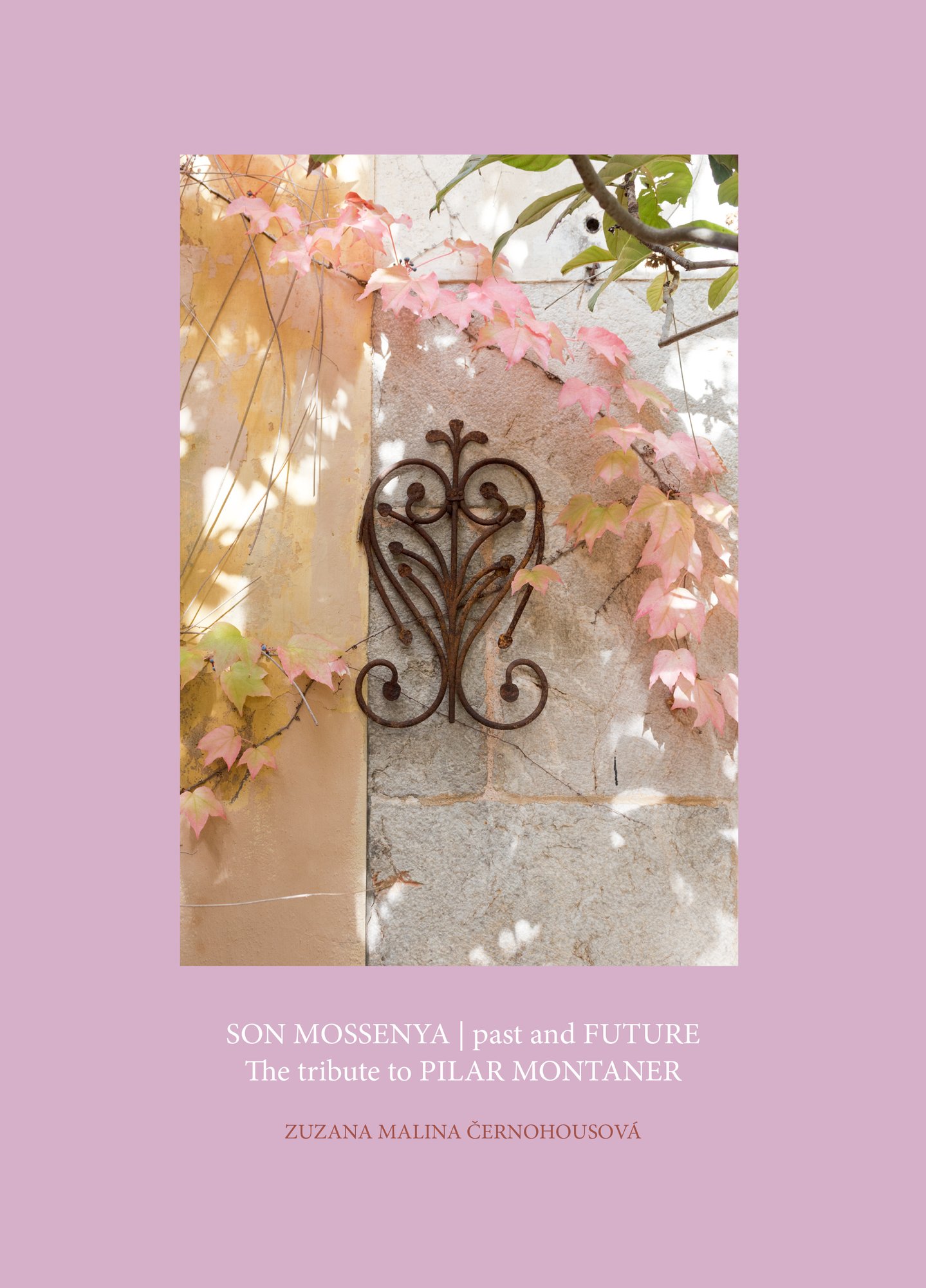Son Mossenya | past and FUTURE