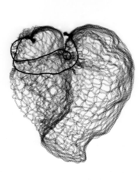 Three Colours Blue  © Elaine Duigenan