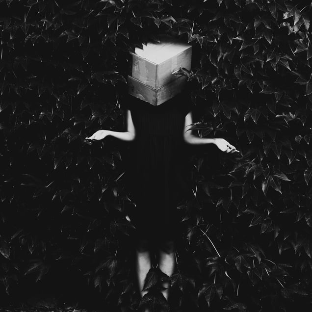 How to think inside the box