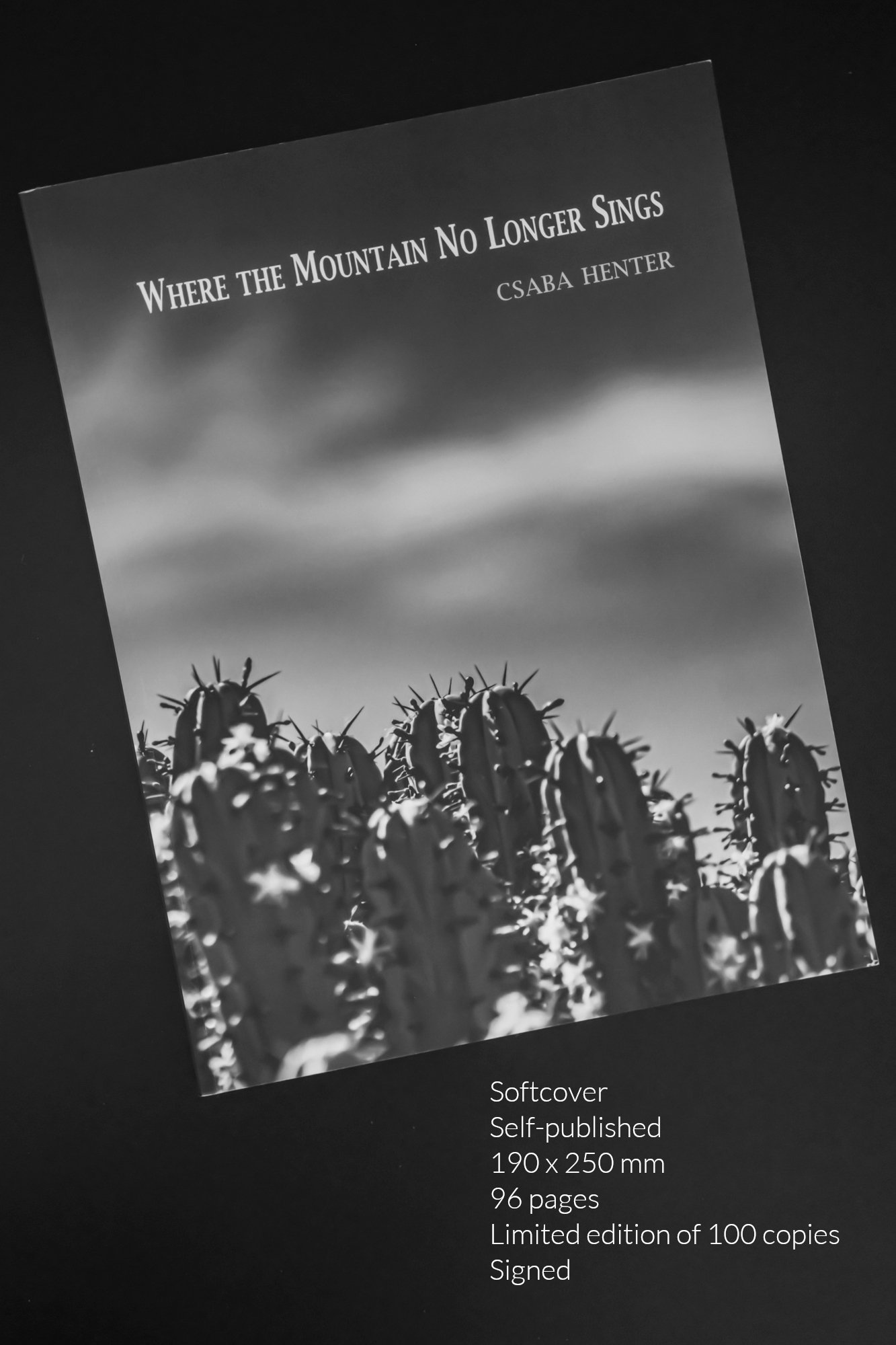 Where the Mountain No Longer Sings