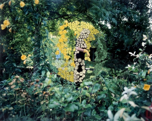 Green Garden Trilogy II