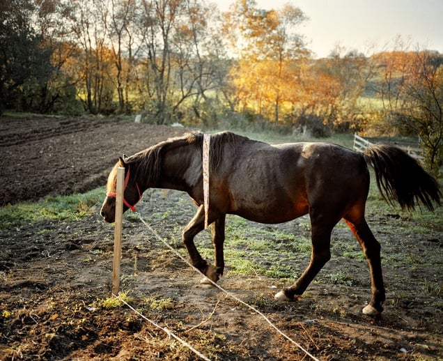 From the series "Petite robe de fete" © Delphine Schacher